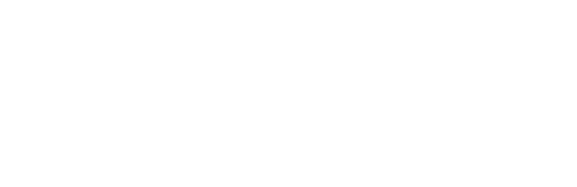 shopify partners white
